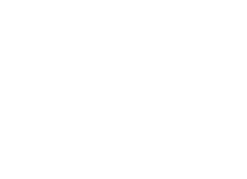 D4L - Data Science logo